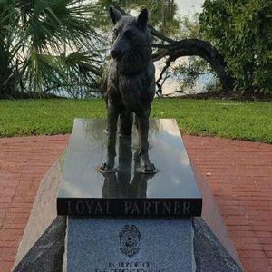 Meet your Posher, Omar